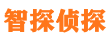 乌什市调查公司